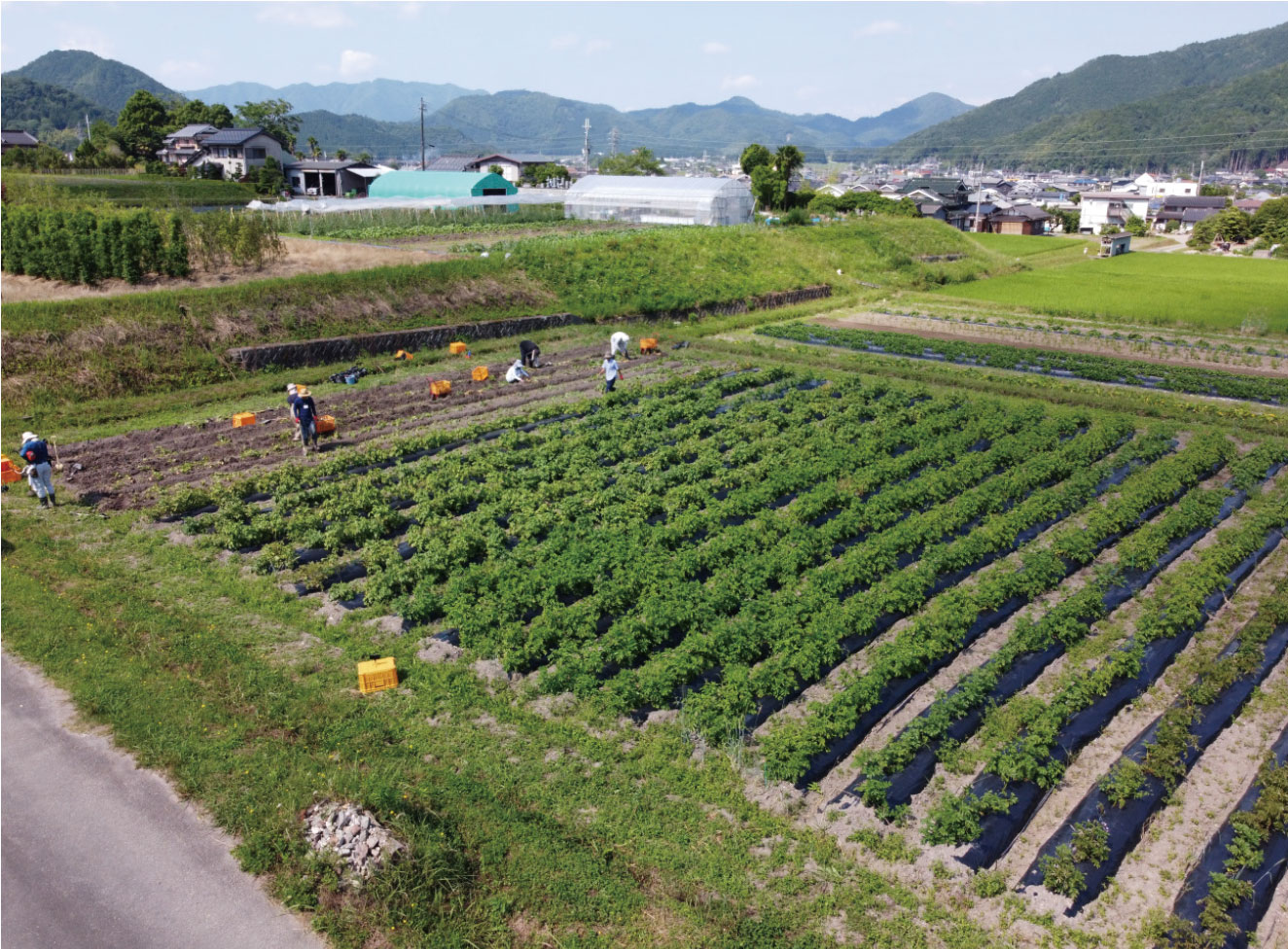 農地の画像