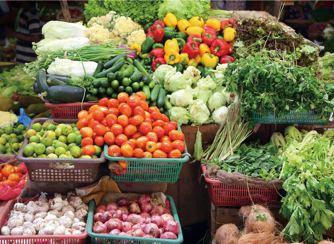 野菜の販売画像