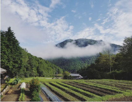 ふえのみち農園（兵庫県丹波市）の画像