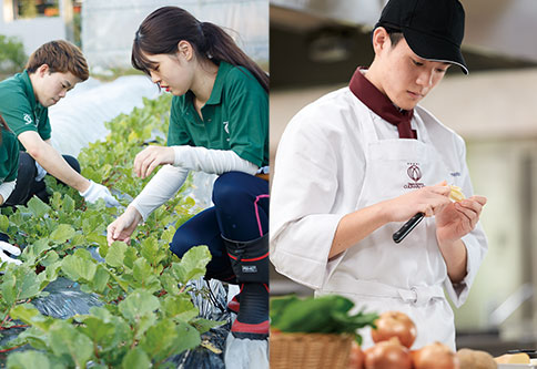 野菜を収穫する学生と、調理する学生
