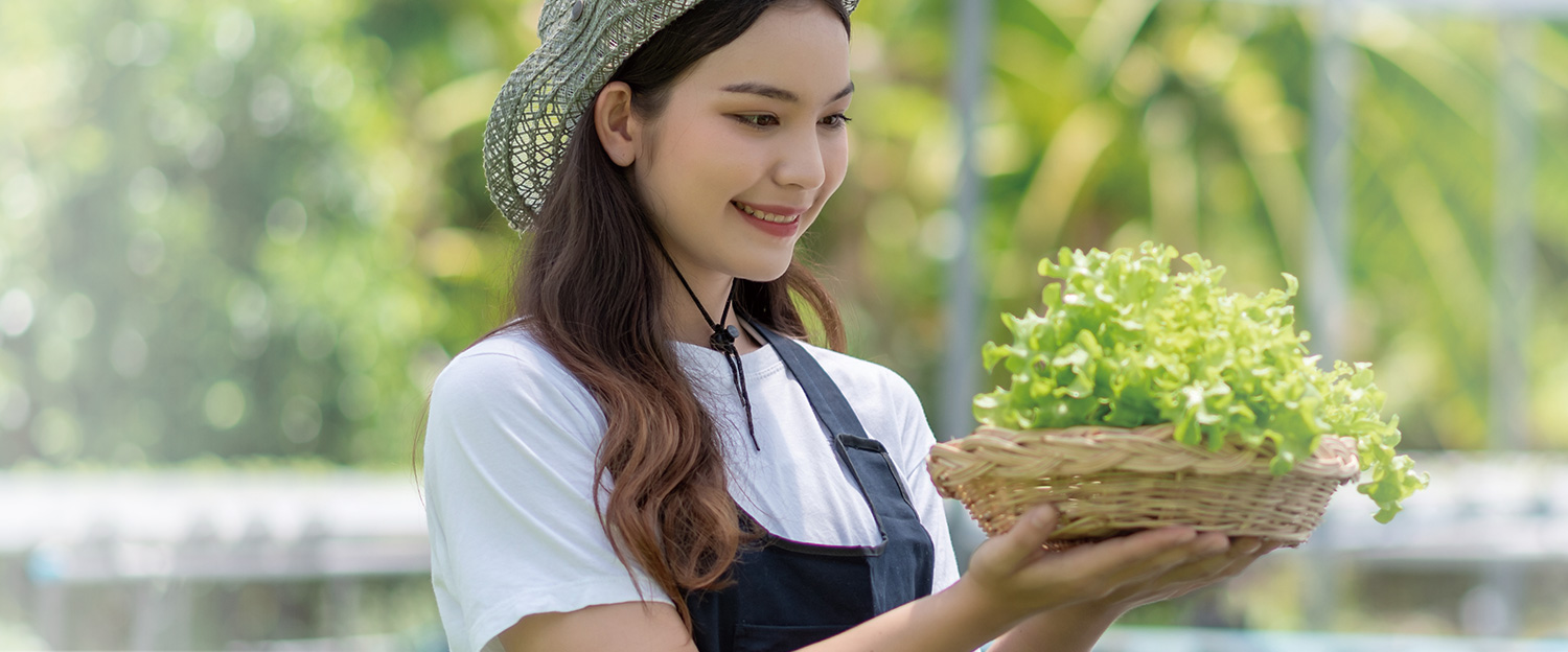 野菜の様子を見る学生