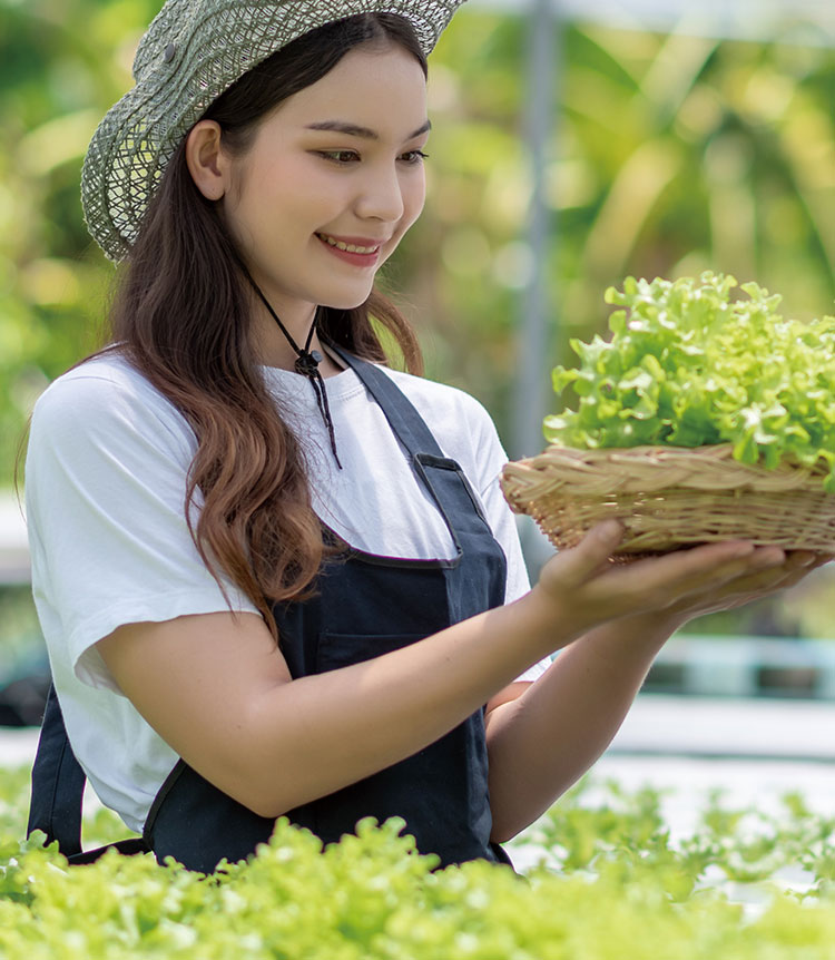 野菜の様子を見る学生