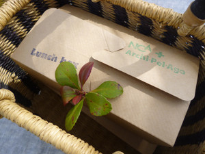 Photo_4