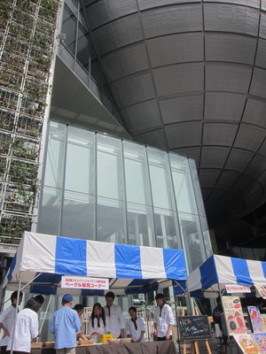 Photo_3