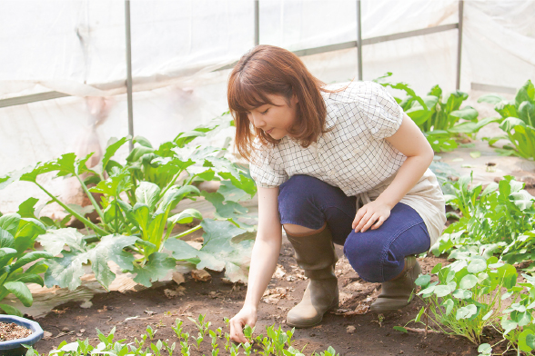 都市型農業で生産管理を学ぶ