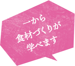 一から食材づくりが学べます