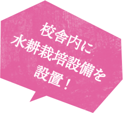 校舎内に水耕栽培設備を設置！